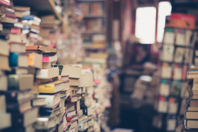 vitrine-GASSIN-min_books_stack_book_store_stack_of_books_2nd_hand_retro_hipster_shop-829090